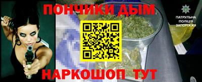 крисы Кулебаки