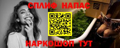 крисы Кулебаки