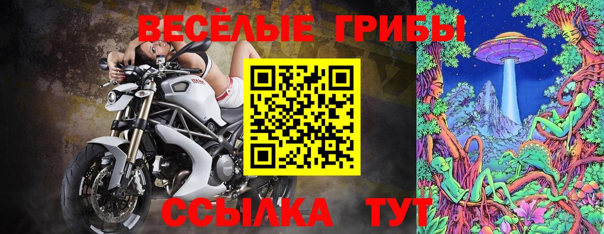 Псилоцибиновые грибы Magic Shrooms  Вход с VPN  Кириши 