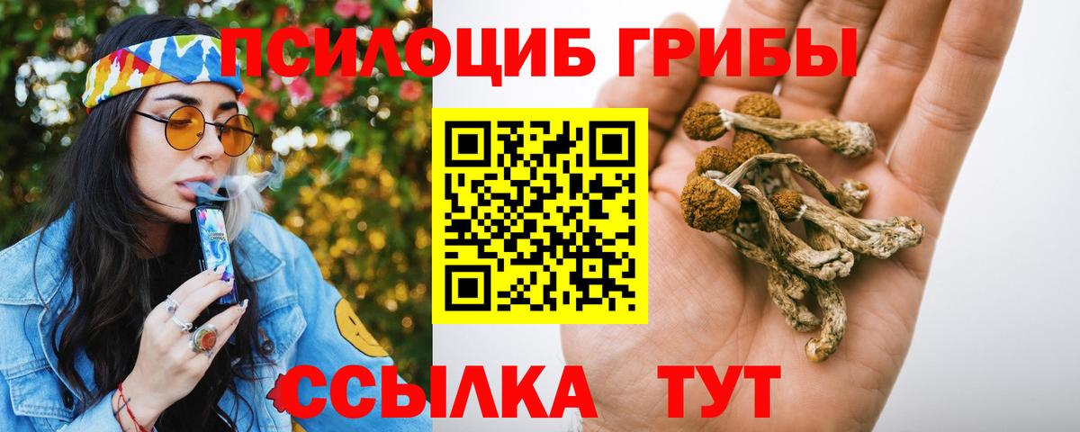 Галлюциногенные грибы мицелий Кириши